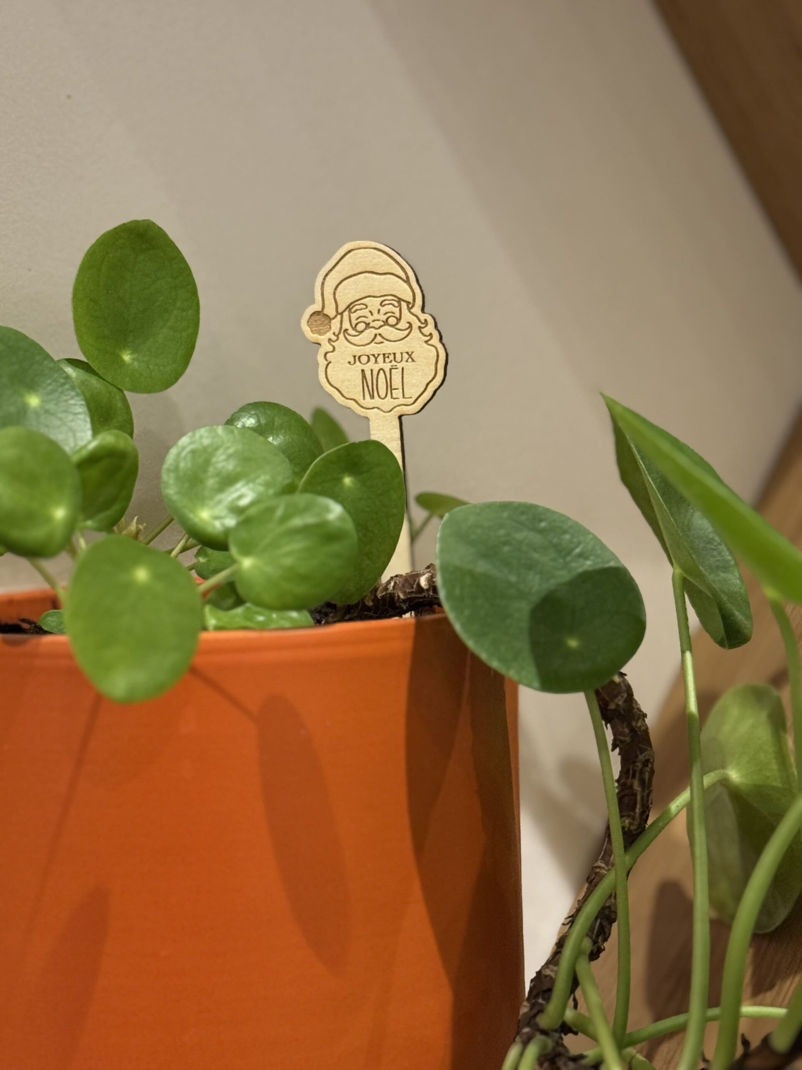 Pic à fleurs “Joyeux Noël” – Bois ou plexiglass